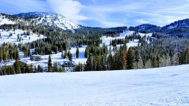 Brighton Resort