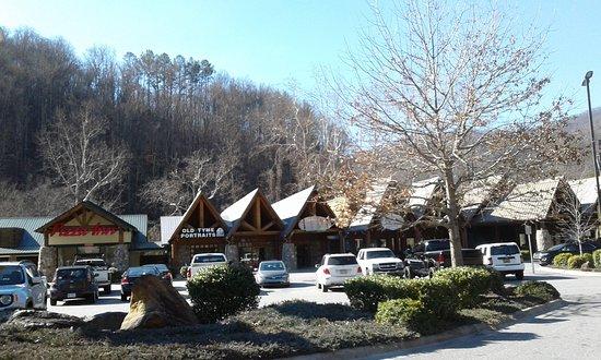 Qualla Java Cafe
