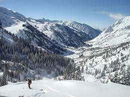 Grizzly Gulch