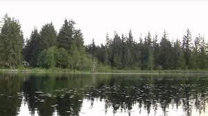 Lake Alice