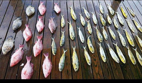 Bounty Of The Bay Charters