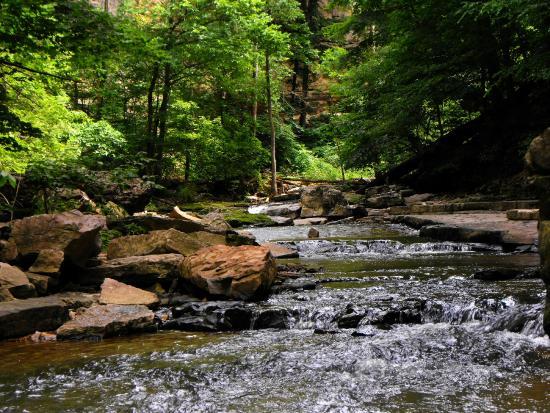 McCormick's Creek State Park