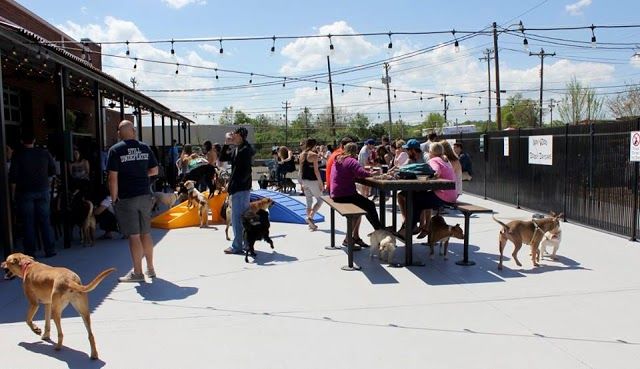 Lucky Dog Bark & Brew Charlotte