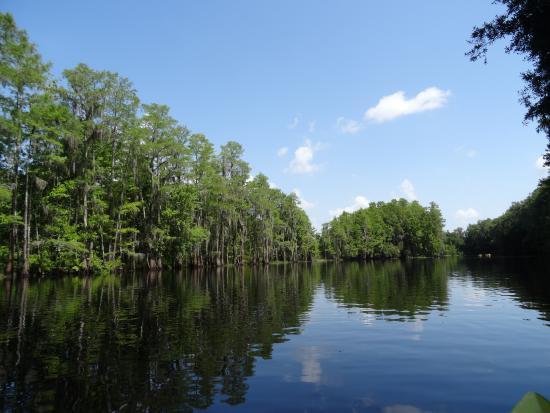 Shingle Creek Regional Park