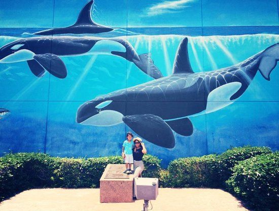 Whaling Wall