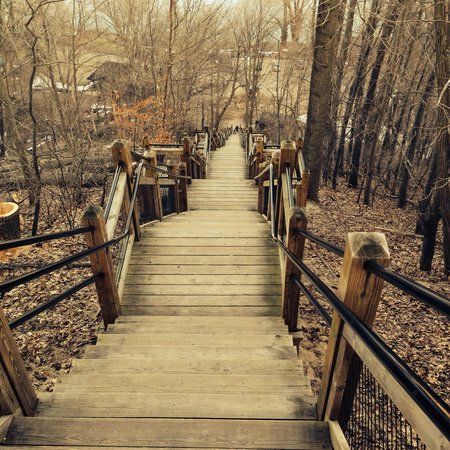 Mount Baldhead Park