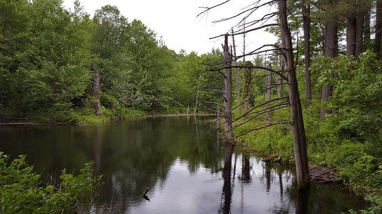 Wells State Park