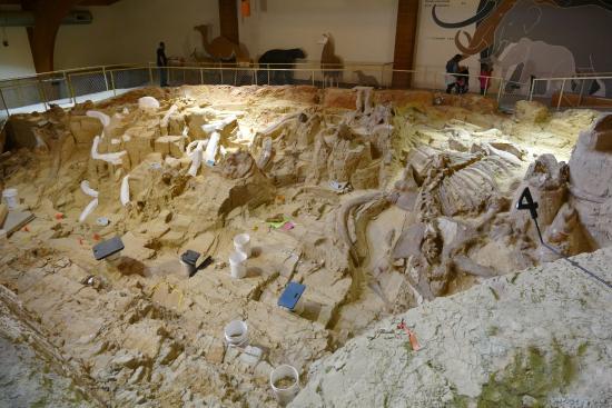 Mammoth Site of Hot Springs