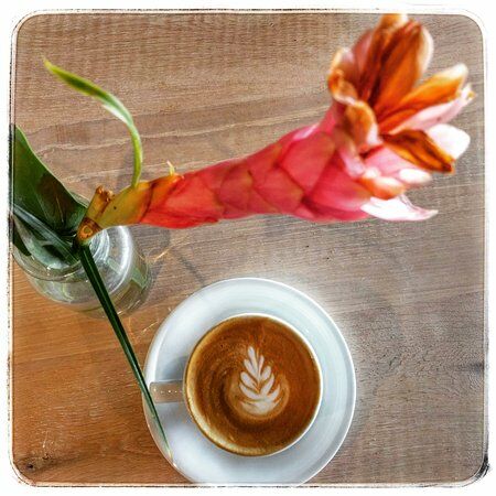 Akamai Coffee Company